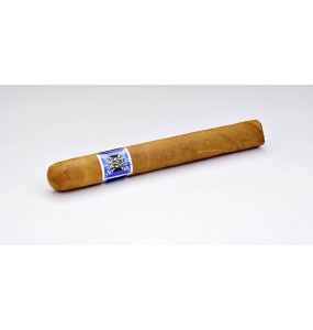 DOMENICO CORONA 42 x 5 ½ fine