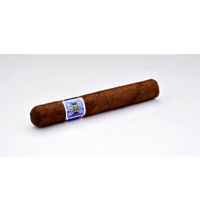DOMENICO ROBUSTO 50 x 5 medium