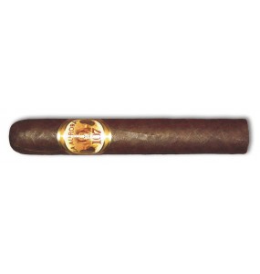La Aurora 107 TORO 5.5 × 54